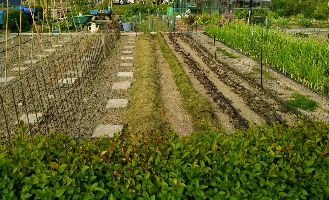 moestuin